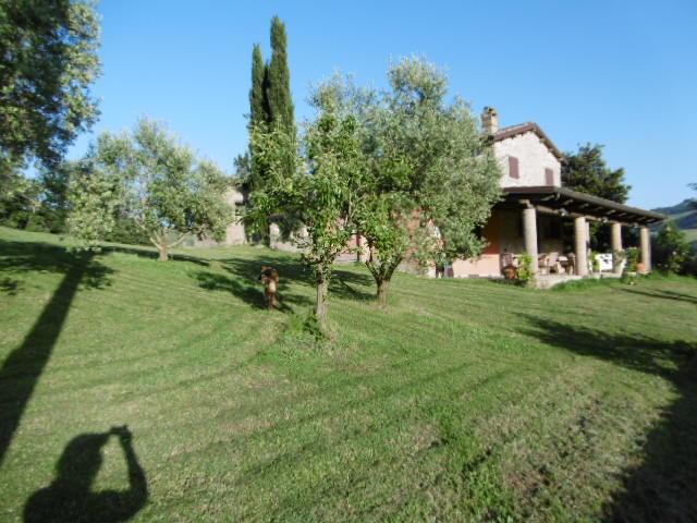 La Polimenta Home Bertinoro Esterno foto